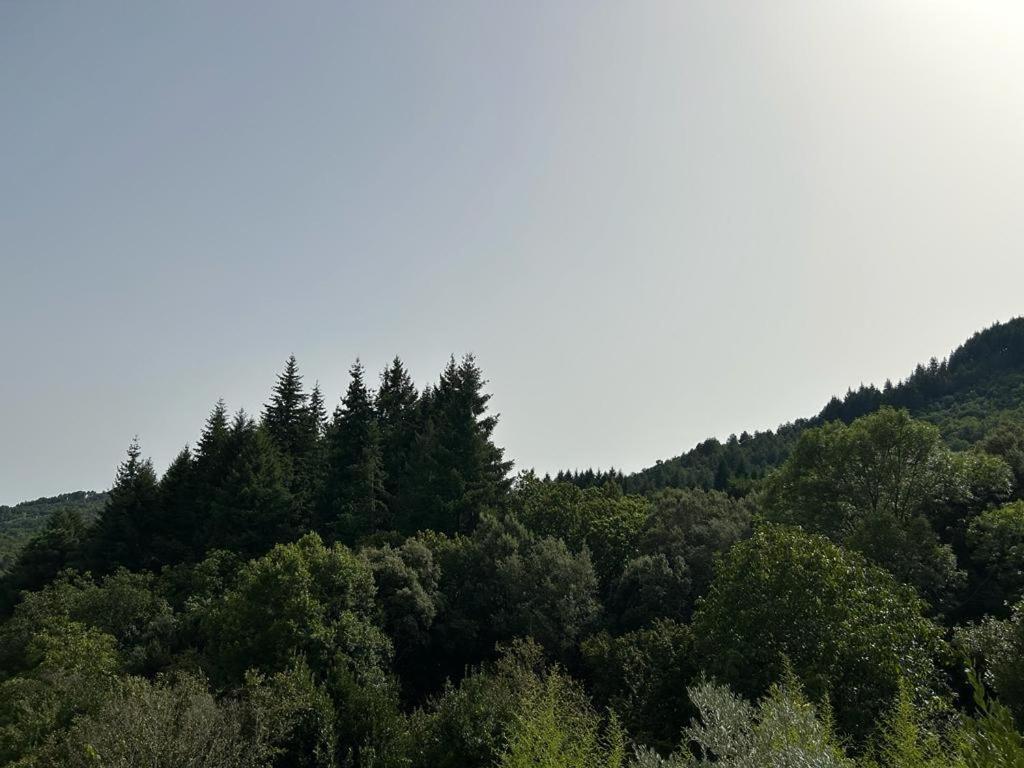 Mas Le Canton Saint-Jean-du-Gard Zewnętrze zdjęcie